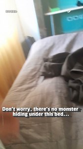 40K views · 238 reactions | All good in the hoodie!  #Cats #CatParents #CatLife #CatLovers #Hoodie #CatMom #FunnyCat | Try Not to Laugh | Facebook