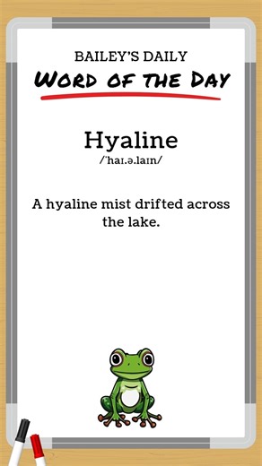 BD: Word of the Day - Hyaline