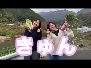 【東温市】東温ふるさとCM隊「ぶらり東温きゅんの旅」【ふるさとCM大賞2024作品紹介】