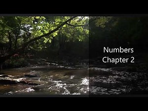 The Book of Numbers Chapter 2 - New King James Version (NKJV) - Audio Bible