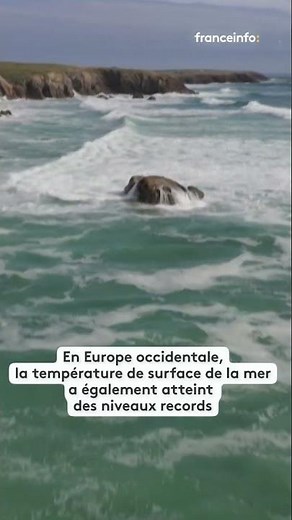 Les océans atteignent une température record pour juillet
