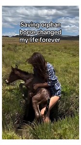 27K views · 1.4K reactions | Baby grows up with a horse #animals #wholesome | StoryTime | Facebook
