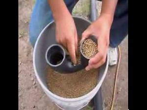 comedero para gallinas