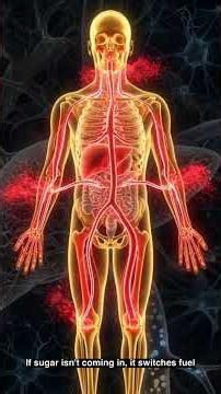 ⚡🍩 What Happens to Your Body When Sugar Leaves Your System?
