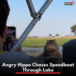 4.5M views · 5.1K reactions | Tourists were suddenly pursued by a hippopotamus while on their boat. While the huge animal chased their boat, diving in and out of the sea, the startled tourists maintained their composure. #hippopotamus #boat #lake #speedboat | News18 | Facebook