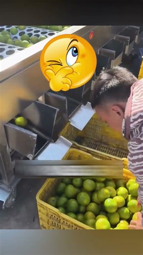 🍊😲 This Orange Peel is Worth More Than Gold 🍊😲 Viral