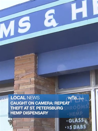 CAUGHT ON CAM: Thieves have targeted a St. Petersburg hemp dispensary, leaving the owner frustrated and police searching for suspects believed to be teenagers. #news #florida #robbery #stpete