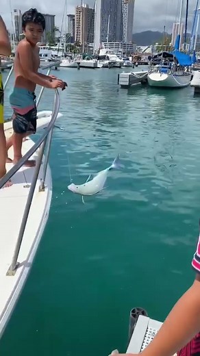 Catch this Unbelievable Experience: Fishing in Hawaii!