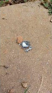 Testing some homemade dark aluminum powder