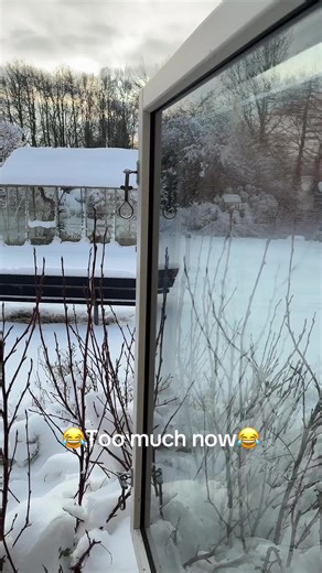 Too Much Fun: Hilarious TikTok Moments Compilation