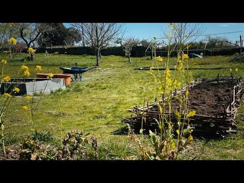 Vlog of a productive and peaceful day | preparing the garden for spring