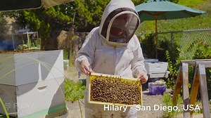 If we look after the bees, they look after us ❤️ Join thousands of people around the globe, taking steps to support bees so they can continue their essential role in our ecosystem. | Flow Hive