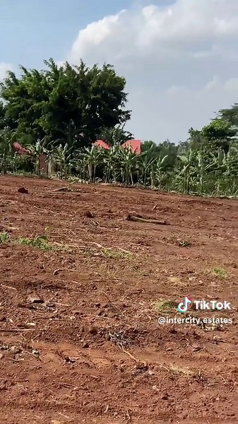 New wakiso town estate plots measure 50 by 100feet with ready land titles. Good for both residential and commercial #foryoupage #wakiso#affordableplots #ptimeestate #landforsale