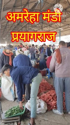 अब कहना जरूरी है कि तुमसे प्यार हुआ है।। अमरेहा मंडी का सीन प्रयागराज।। #shorts #viral