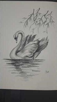 Short tutorial video, Realistic swan drawing, Easy step-by-step pencil drawing #drawing #tutorial