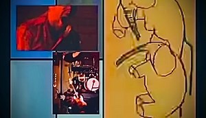 3.3K views | ⚡️ONE WEEK AWAY⚡️ Bear vs Shark returns to Saint Andrew’s Hall on Saturday, June 14 to celebrate 20 years of Terrorhawk — with special guests 84 Tigers and Eck! If you know, you know — this show is pure nostalgia for the real ones. The chaos, the sweat, the screams... it’s all coming back.  Tickets are moving fast — don’t wait: https://livemu.sc/3FOd6yb Let's relive it like it's 2005. | Saint Andrew's Hall | Facebook