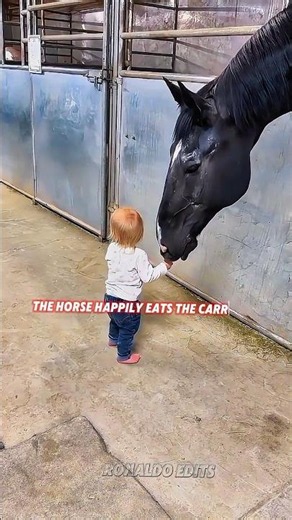 The Sweetest Moment Between a Child and a Horse
