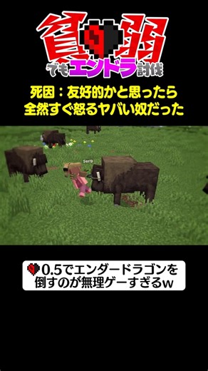 [Minecraft] Instant death if touched, I want to beat the Ender Dragon with 0.5 hearts! #Minecraft...