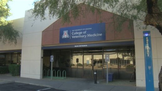 Thousands of aspiring veterinarians applied to the University of Arizona Vet School this application cycle