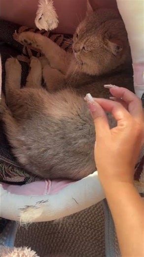 Unicorn Makeup Transformation - From Ordinary to Magical