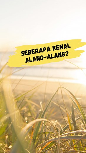 Mengenal Rumput Alang-Alang: Karakteristik dan Penanganannya
