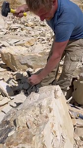 Check out this fossil fishy we found yesterday this is a priscacara, and it’s beautiful! Still needs a bit of prep work but definitely the best fish so far! Wish us luck tomorrow. | That Camping Couple