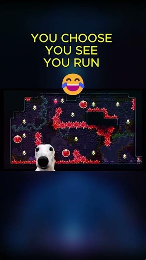 You choose , You see, You run 😂 #celeste