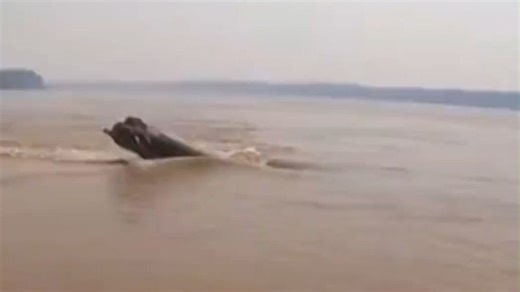 这是发现了啥意外惊喜