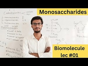Decoding Monosaccharides: A Class 9 Biology Journey into Carbohydrates & Biochemistry