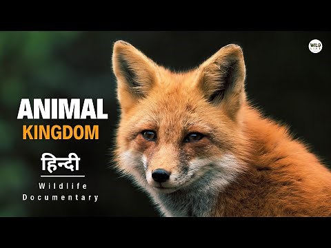 New Animal Kingdom - हिन्दी डॉक्यूमेंट्री | Wildlife documentary in Hindi