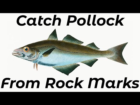 How To Catch Pollock From Rock Ledges (Shore Fishing UK and Europe) - Sea Fishing Tutorial