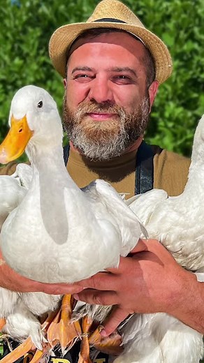 Duck Preparation and Cooking Techniques Explained