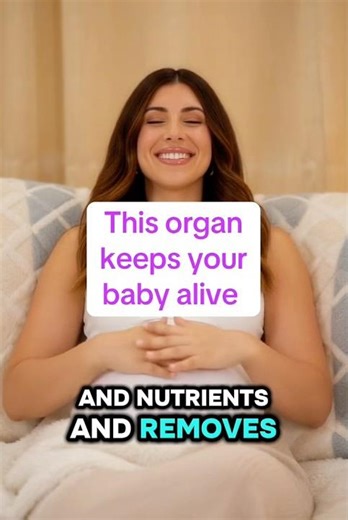 What’s the use of the placenta during pregnancy