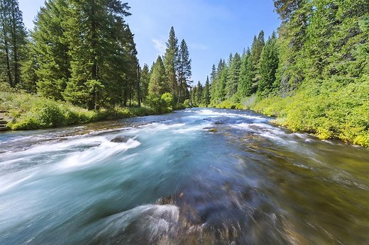 Metolius River — The Fly Fishers Place