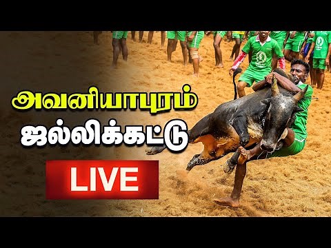 Jallikattu 2025 Live 🔴 மதுரை Avaniyapuram | தொடங்கியது அவனியாபுரம் ஜல்லிக்கட்டு | Vikatan