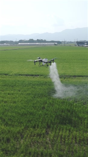Come along as we take off and care for green rice paddies in Japan with the T70P! 🌱✨ #DJIAgriculture #DJIT70P #Agriculturaldrone #Ricepaddies #Japanfarming | DJI Agriculture