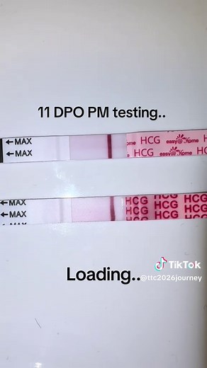 11 DPO evening tests BFN😂🥲 #ttc #ttcjourney #11dpo #pregnancytest #easyathome