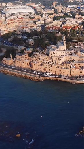 Beauty in Jaffa .. Palestine is a country of beauty and charming nature 🇵🇸❤️ @ olivepalestine | Friends of Palestine