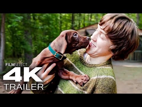 SCOOBY-DOO: ORIGINS Official Teaser Trailer (2027)