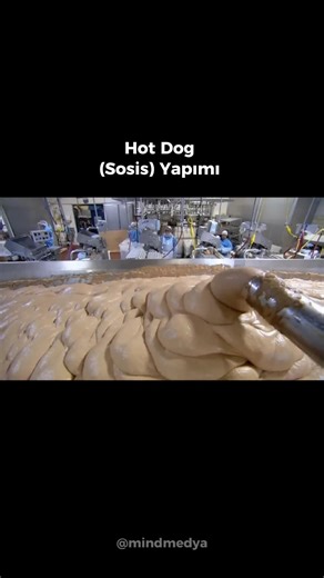 Dünyada İşler Nasıl Yürüyor?(How do things work in the world?)