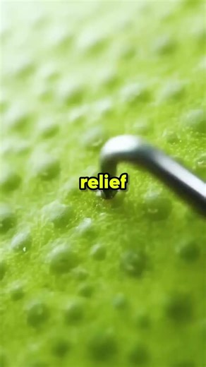 Chapter 3: A Tale of Friendship and Adventure