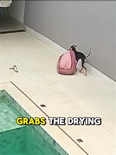 She saved the most precious thing! 🤣 #funny #real #shorts