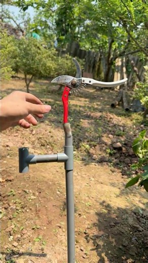 Tips for making a tool to cut branches for high br #diy #tips
