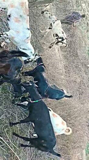 No_Caption...😊🫵