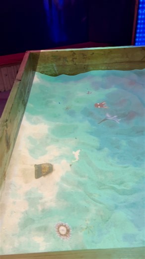 Unleash your imagination at our interactive sand box! ⛱️ As you play, an overhead projector reacts and brings the scene to life - creating a moving, shifting world that evolves with every touch 🌊🌍 Curiosity comes alive as you explore our interactive sand box table ✨ 🎟️ Book your visit here 👉 https://kidspaceadventures.com/croydon/ #KidspaceCroydon #DayOut #EscapadeGroup #IndoorPlay #LondonDayOut | Kidspace Croydon