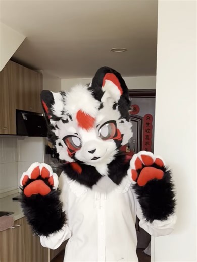 Cute little wolf~#furry #EdgyFurry #fursuiter #cutefurry #cos #cute #cosplay