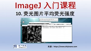 ImageJ 测量荧光图片的荧光强度 图像处理 软件