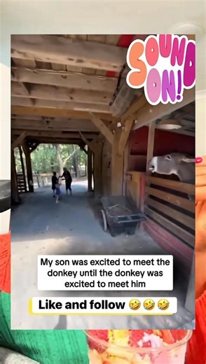 2.3K views · 29 reactions | He was so happy to see the donkey 𢡊#FamilyFriendly #CommunityEvent | Priscy blogs | Facebook