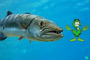 Barracuda Networks’ IPO represents another win for the security industry