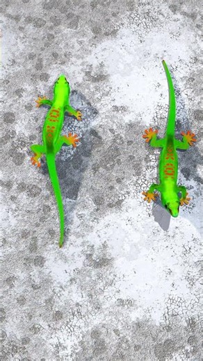 CAT GAMES / GAMES FOR CATS - COCKROACHES - Lizards for cats to watch 🪳 #cat #catgames #cockroach